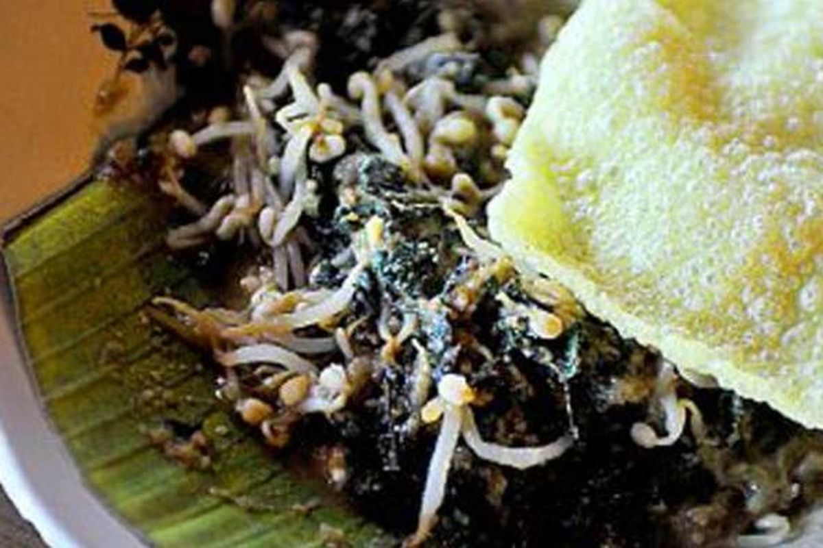 Semanggi Suroboyo